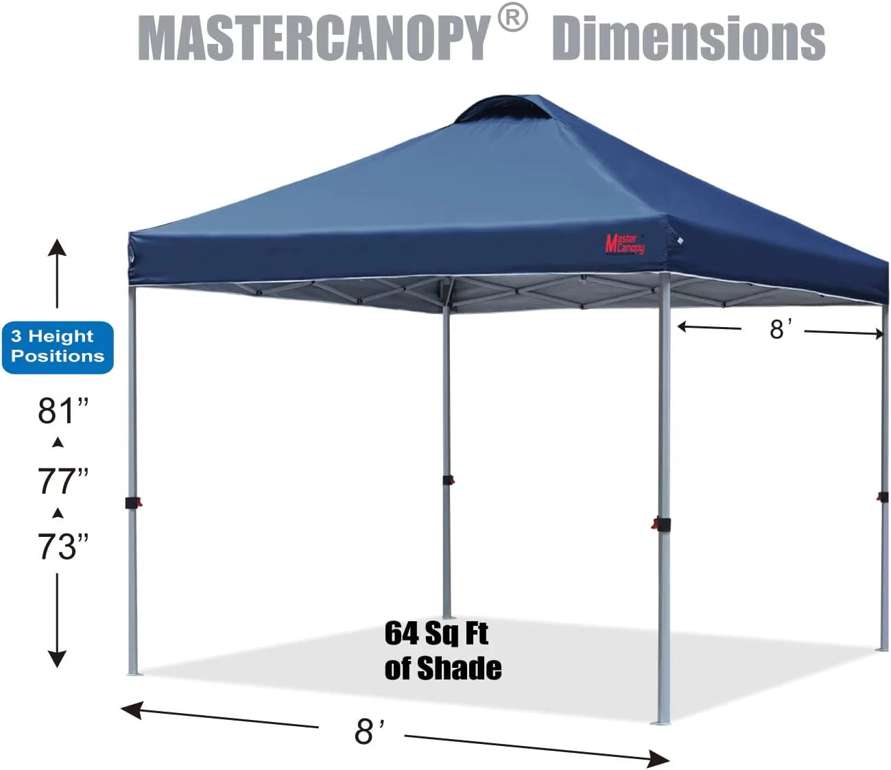 Durable Pop-up Canopy Tent with Roller Bag (10x10, Black)