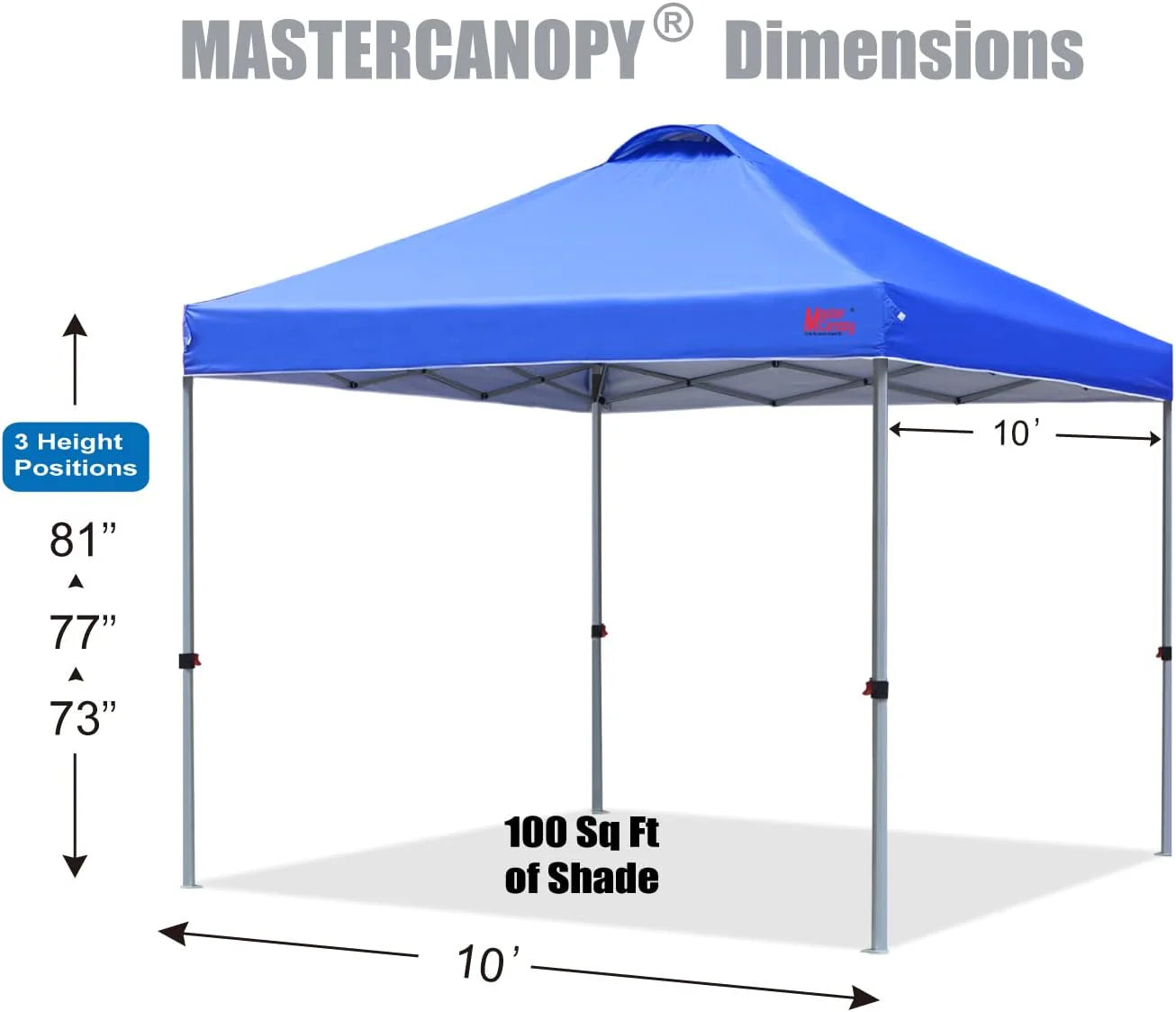 Durable Pop-up Canopy Tent with Roller Bag (10x10, Black)