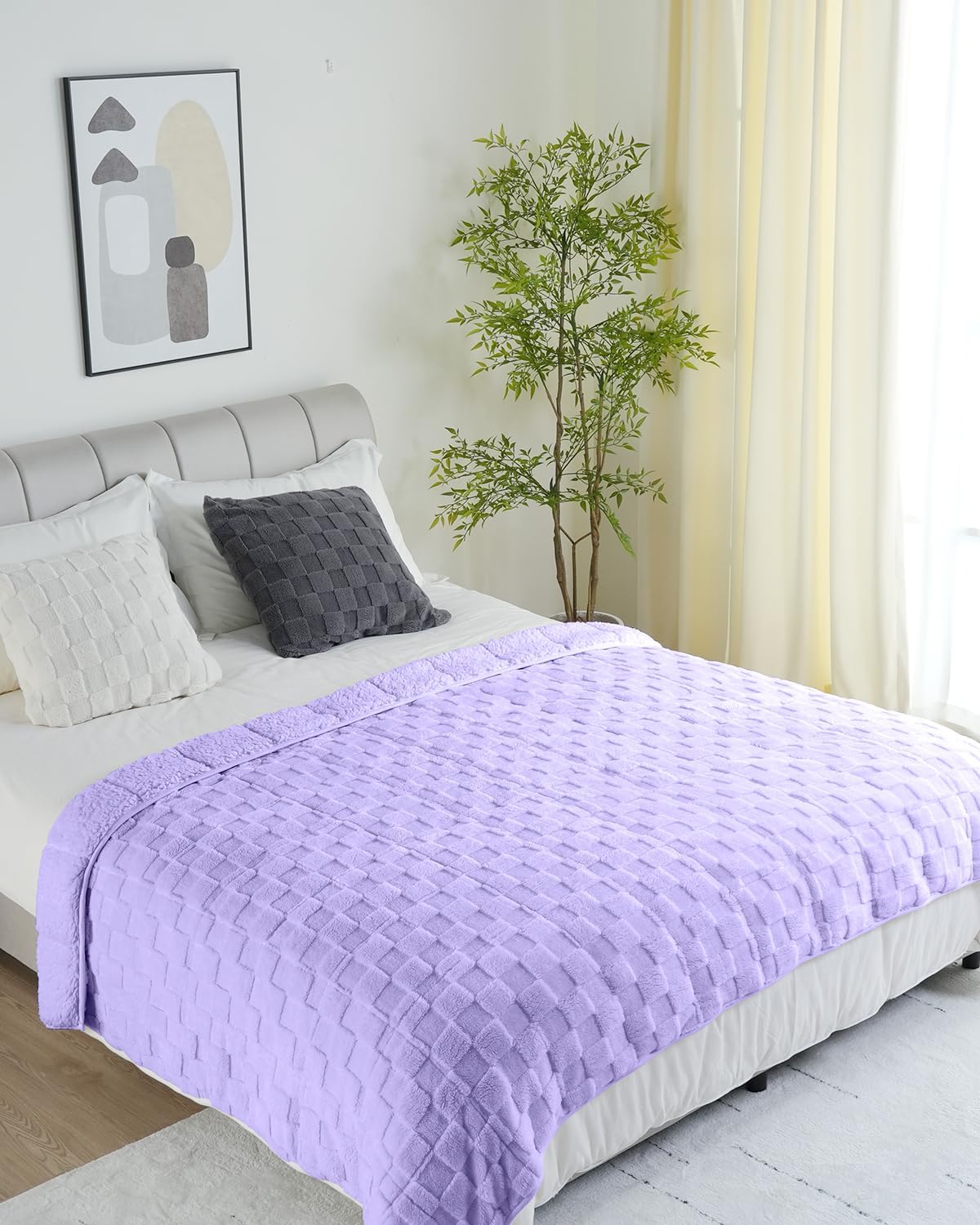 Weighted Blanket Queen Size 15lbs 60x80 inches with Soft Plush Fleece