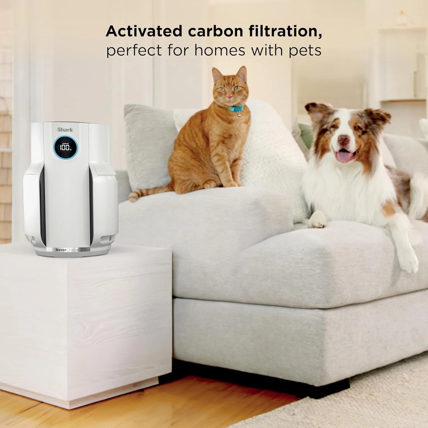 Air Purifier Compact Pro with Long-lasting HEPA Exceeding Filtration, For Pet Dander, Dust, Smoke, Allergens, Up to 250 sq. ft.