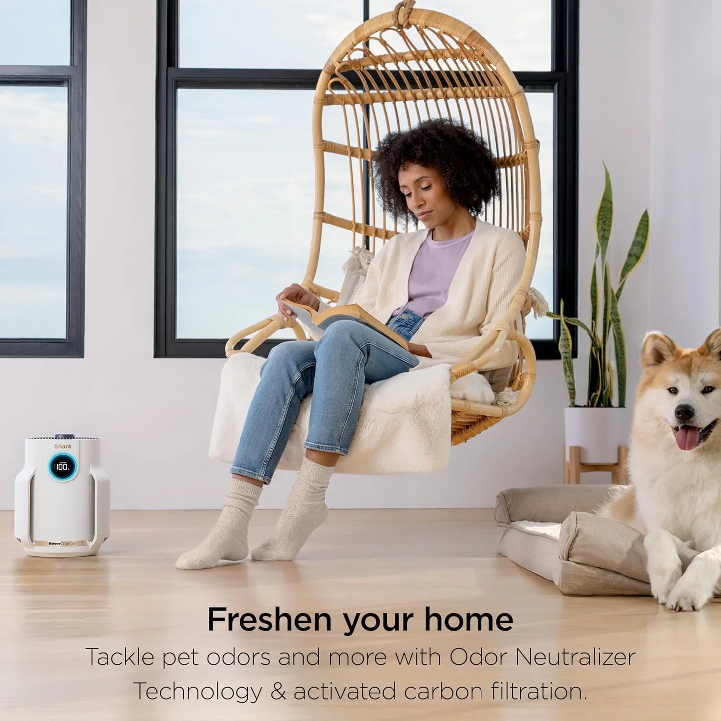 Air Purifier Compact Pro with Long-lasting HEPA Exceeding Filtration, For Pet Dander, Dust, Smoke, Allergens, Up to 250 sq. ft.