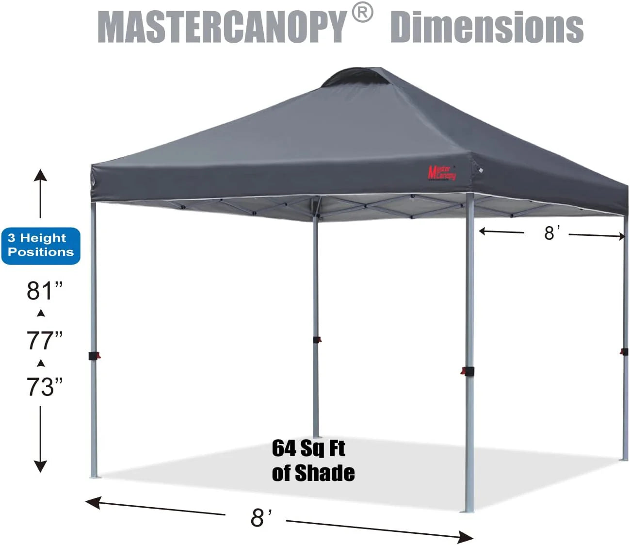 Durable Pop-up Canopy Tent with Roller Bag (10x10, Black)