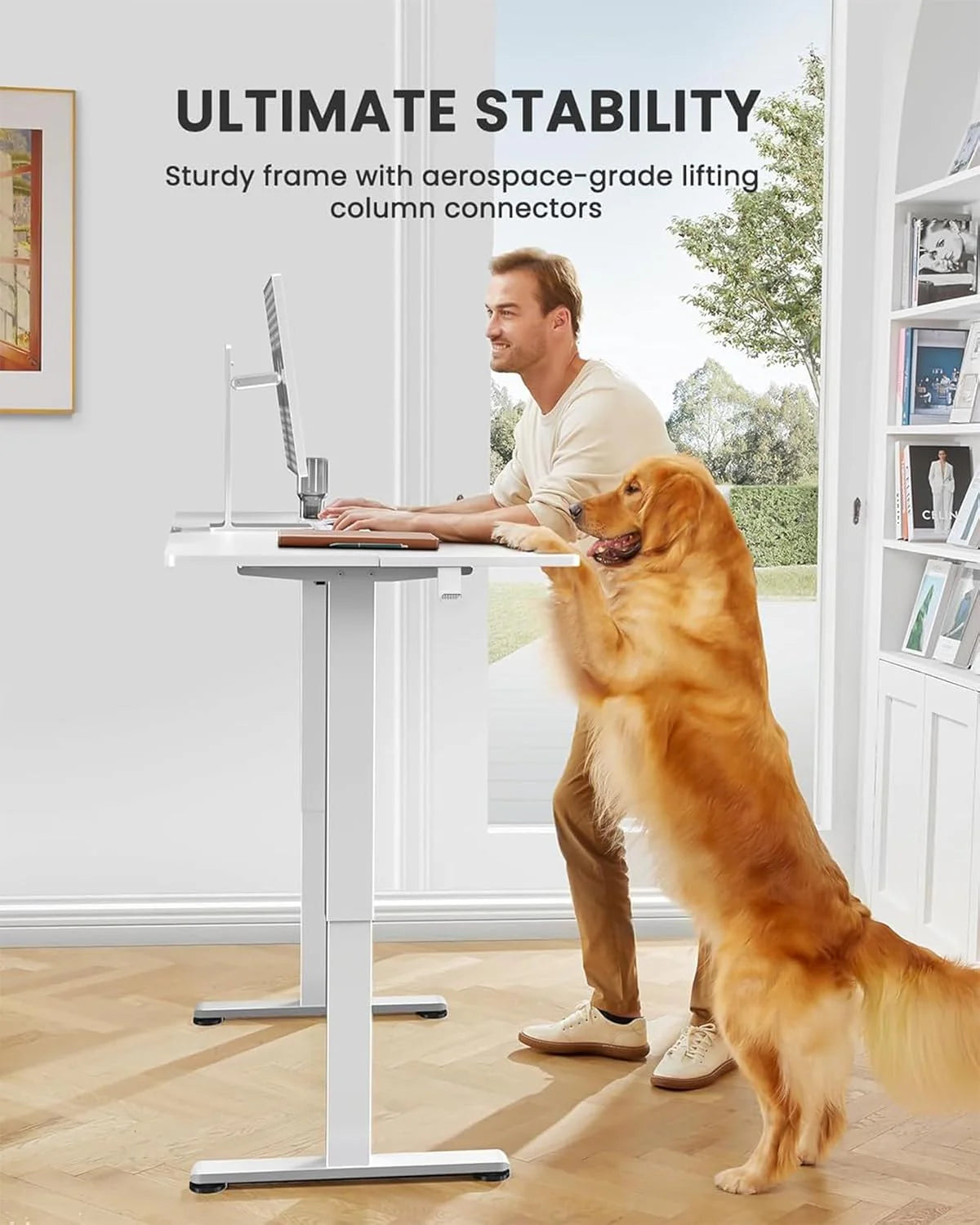 Height Adjustable Electric Standing Desk 47.2 x 23.6 Inches