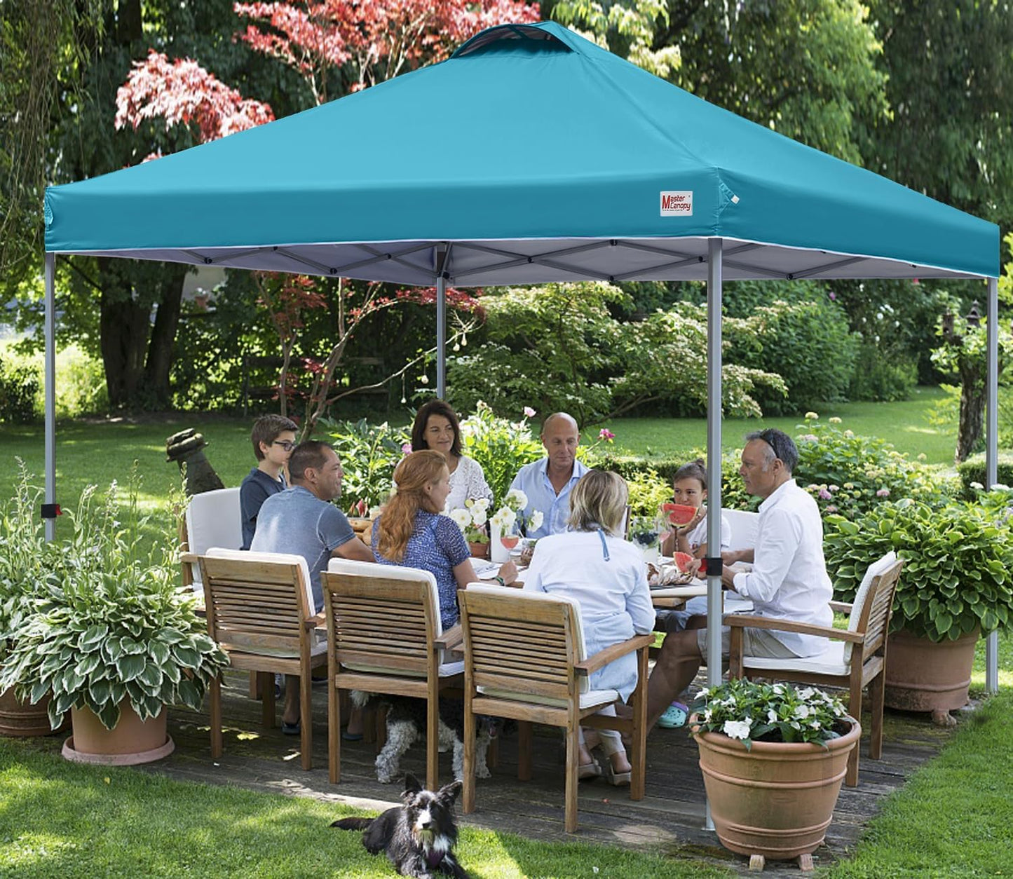 Durable Pop-up Canopy Tent with Roller Bag (10x10, Black)