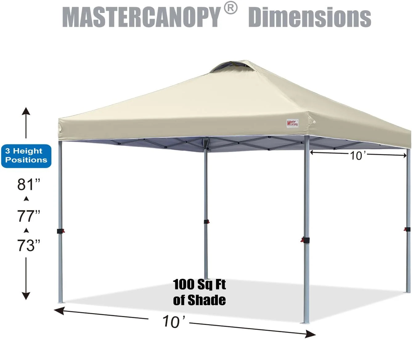 Durable Pop-up Canopy Tent with Roller Bag (10x10, Black)