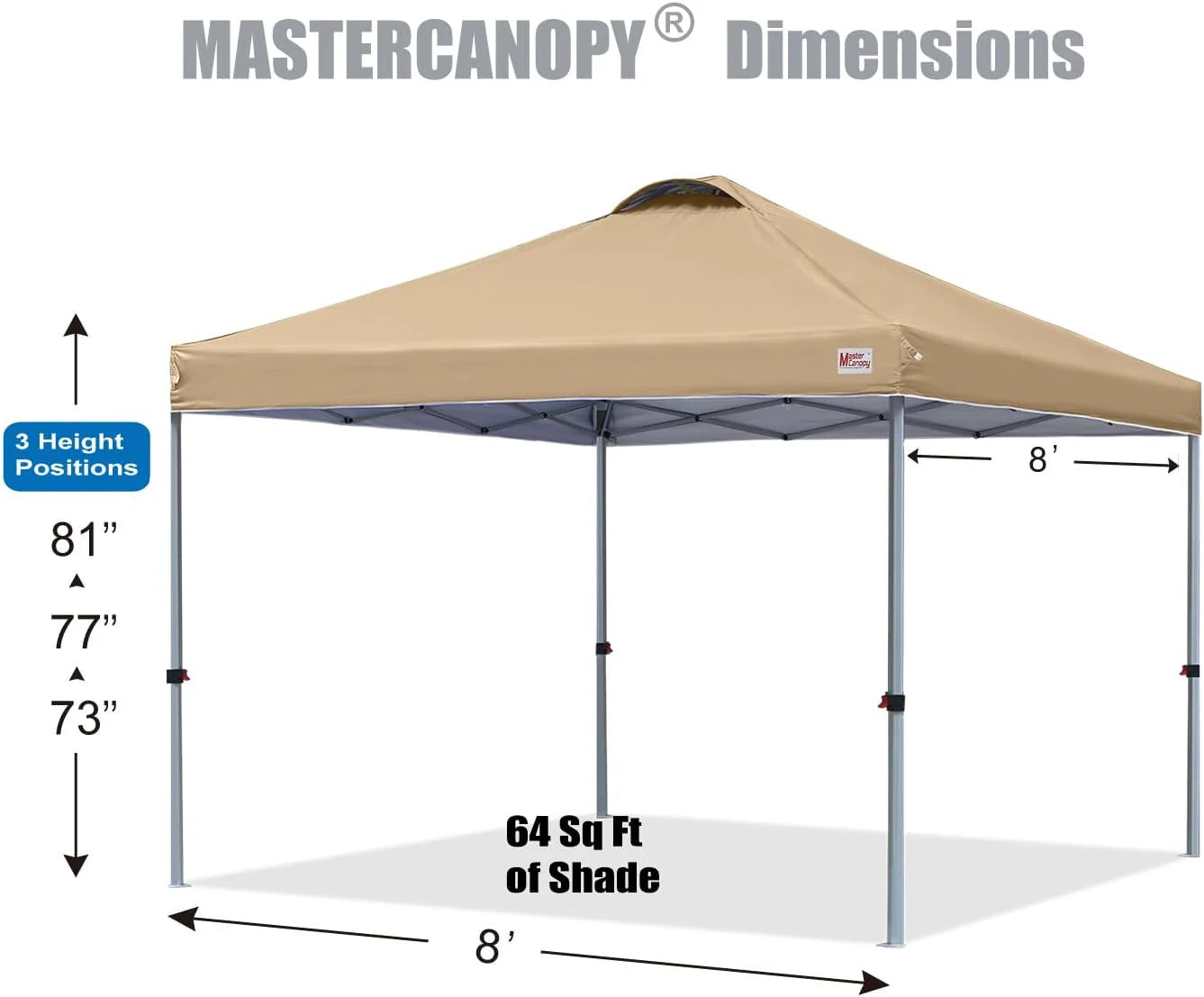 Durable Pop-up Canopy Tent with Roller Bag (10x10, Black)