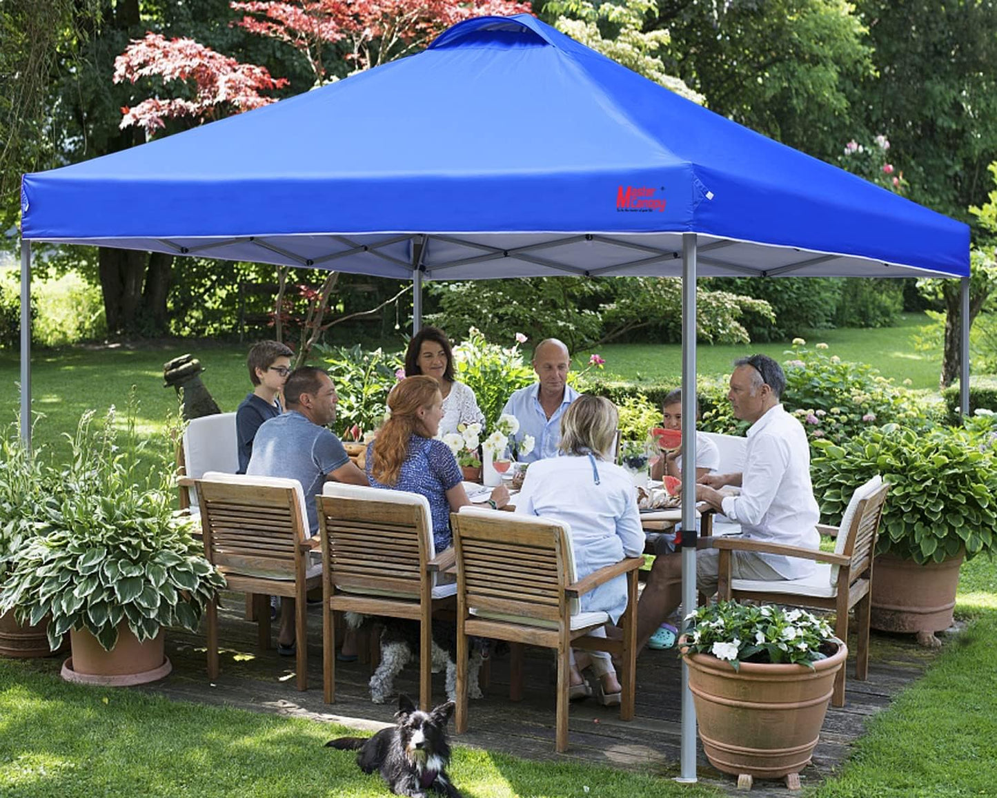 Durable Pop-up Canopy Tent with Roller Bag (10x10, Black)