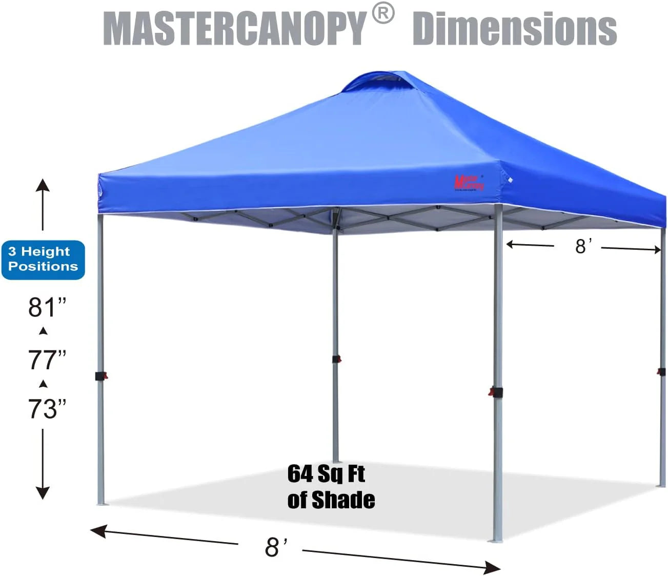 Durable Pop-up Canopy Tent with Roller Bag (10x10, Black)