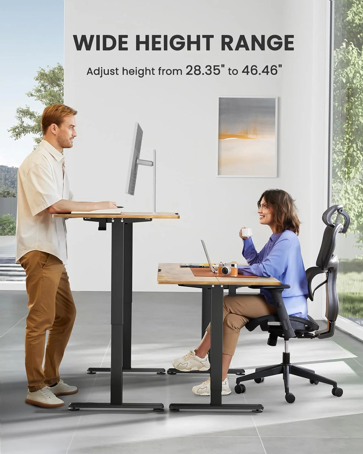Height Adjustable Electric Standing Desk 47.2 x 23.6 Inches