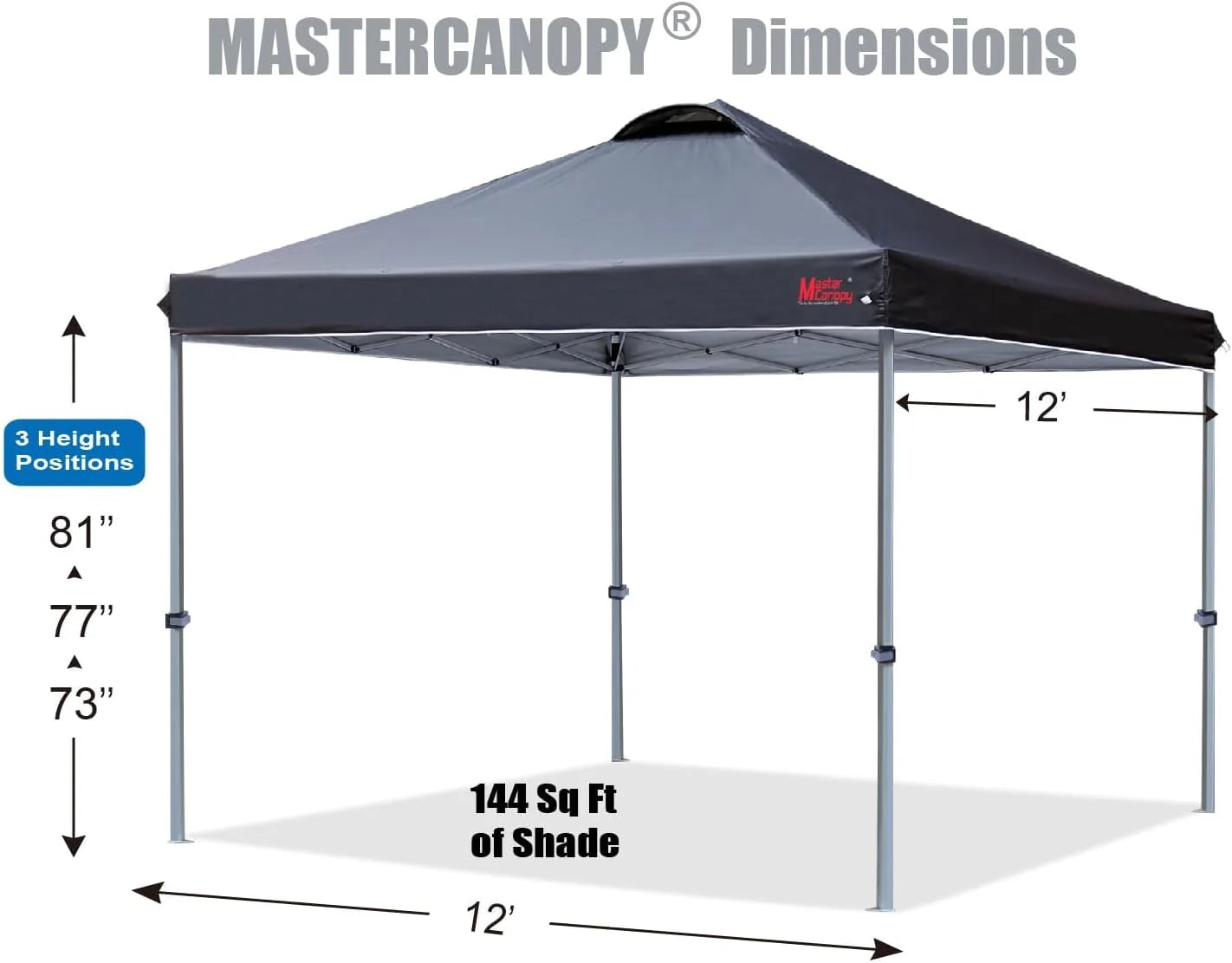Durable Pop-up Canopy Tent with Roller Bag (10x10, Black)