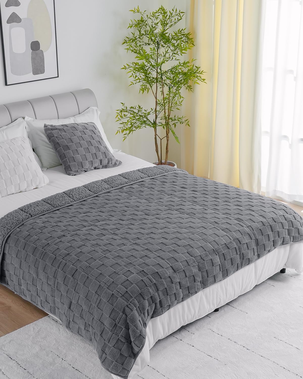 Weighted Blanket Queen Size 15lbs 60x80 inches with Soft Plush Fleece