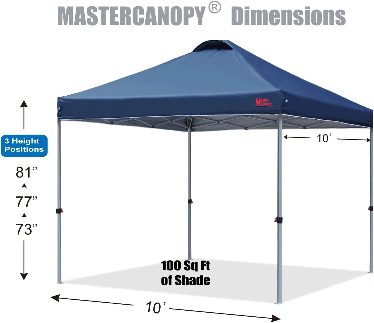 Durable Pop-up Canopy Tent with Roller Bag (10x10, Black)