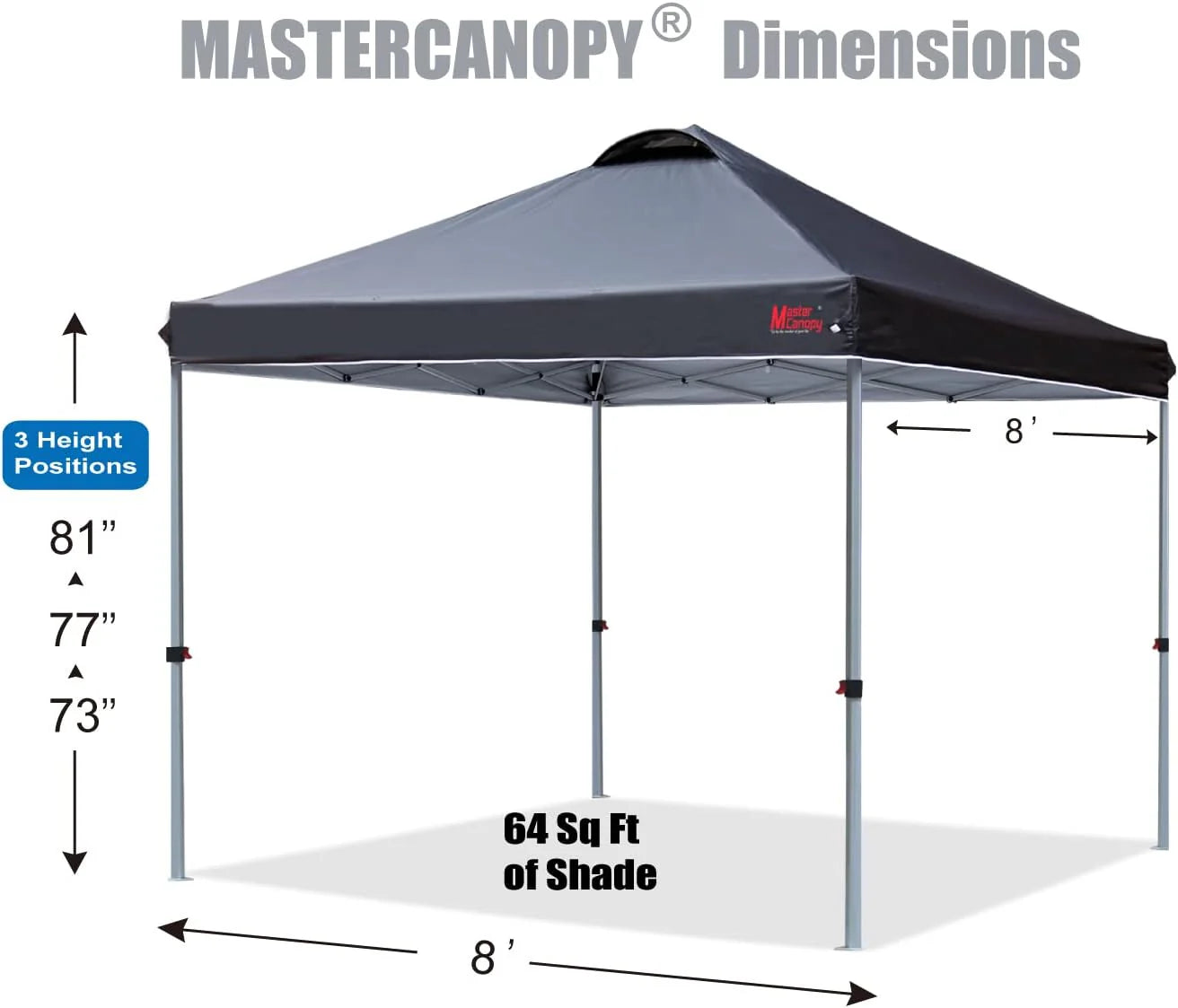 Durable Pop-up Canopy Tent with Roller Bag (10x10, Black)