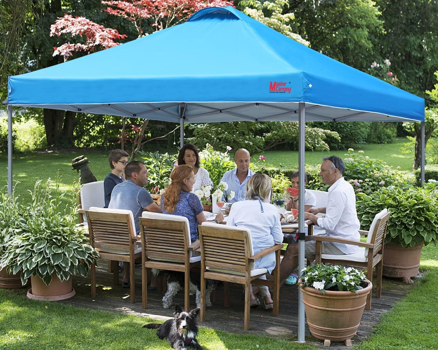 Durable Pop-up Canopy Tent with Roller Bag (10x10, Black)