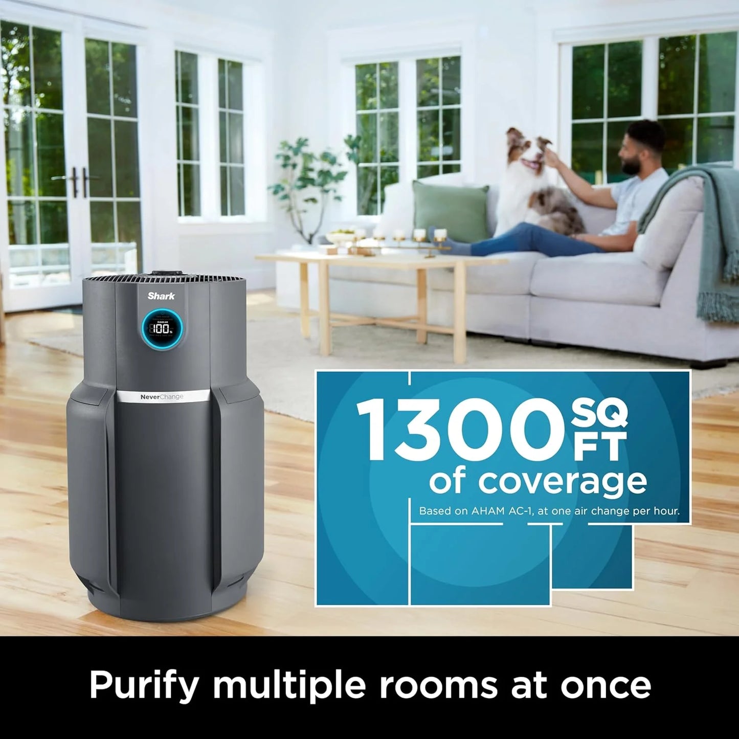 Air Purifier Compact Pro with Long-lasting HEPA Exceeding Filtration, For Pet Dander, Dust, Smoke, Allergens, Up to 250 sq. ft.