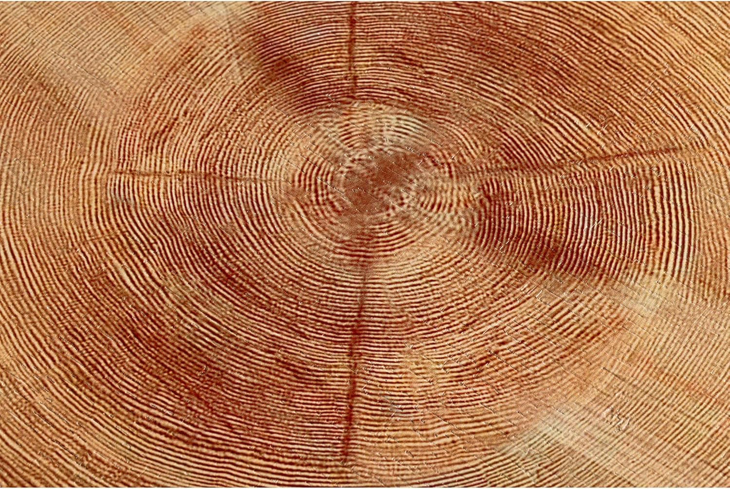 Two-Piece Modern Farmhouse Living Room Coffee Table Set, Round Nesting Tables