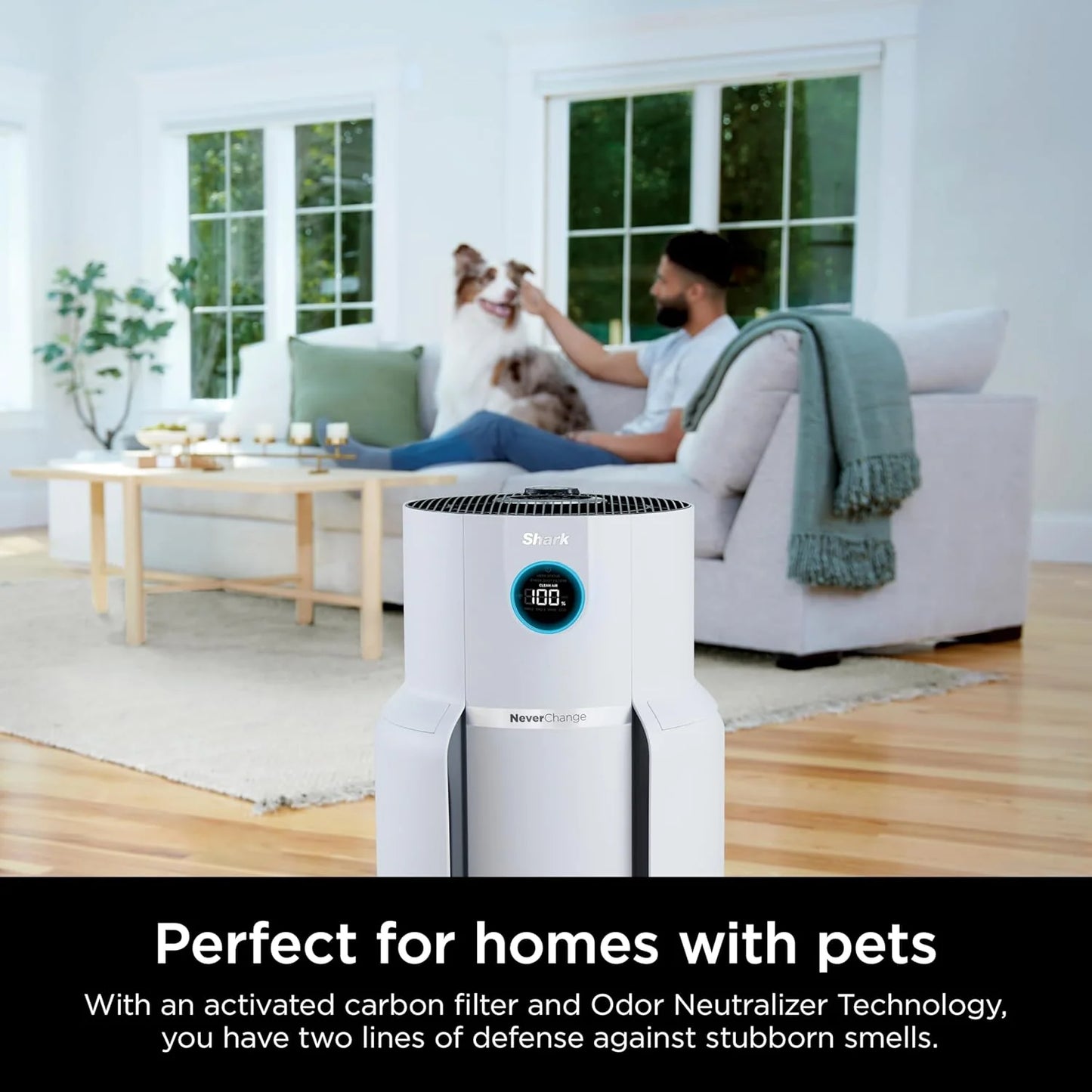 Air Purifier Compact Pro with Long-lasting HEPA Exceeding Filtration, For Pet Dander, Dust, Smoke, Allergens, Up to 250 sq. ft.