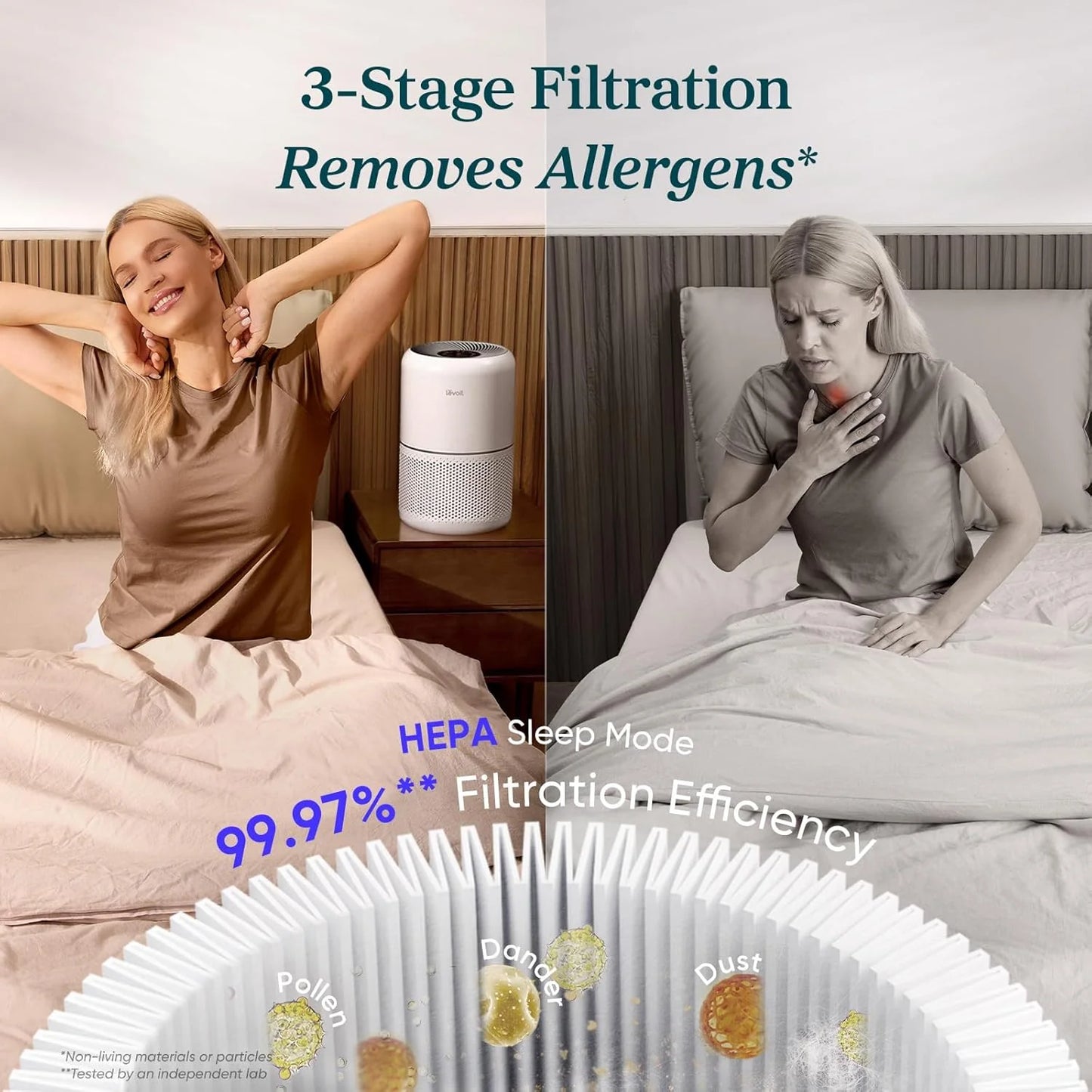Air Purifier for Bedroom Allergies and Pet Hair, 56W High Torque Motor