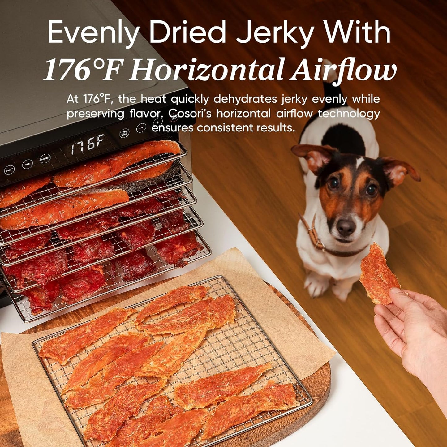 COSORI Food Dehydrator, Bigger Than 7 Trays With Large 6.5" Drying Space, 600W Power Saves More Time Than 480W, 165°F Dehydrated Dryer
