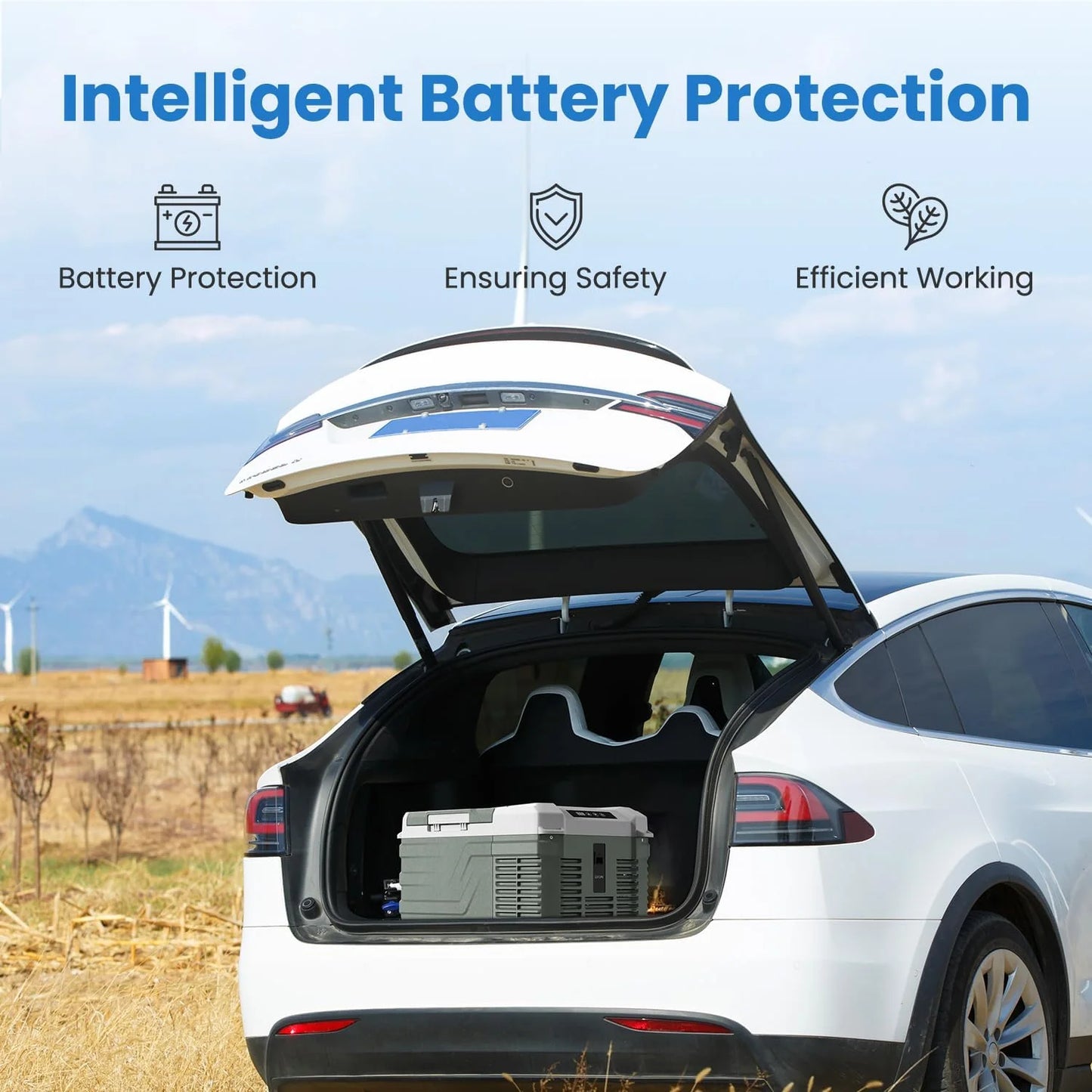 Alpicool 12 Volt Refrigerator 12V Car Fridge 10 Quart Small Car Refrigerator Portable Fridge 12/24V DC 110~240 Volt AC for Truck RV Camper SUV Portable Freezer Electric Cooler for Camping (-4℉-68℉)