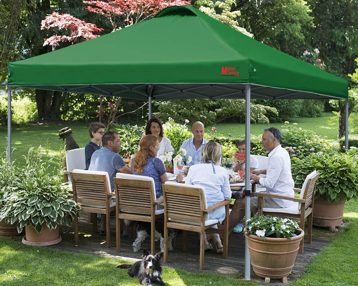 Durable Pop-up Canopy Tent with Roller Bag (10x10, Black)