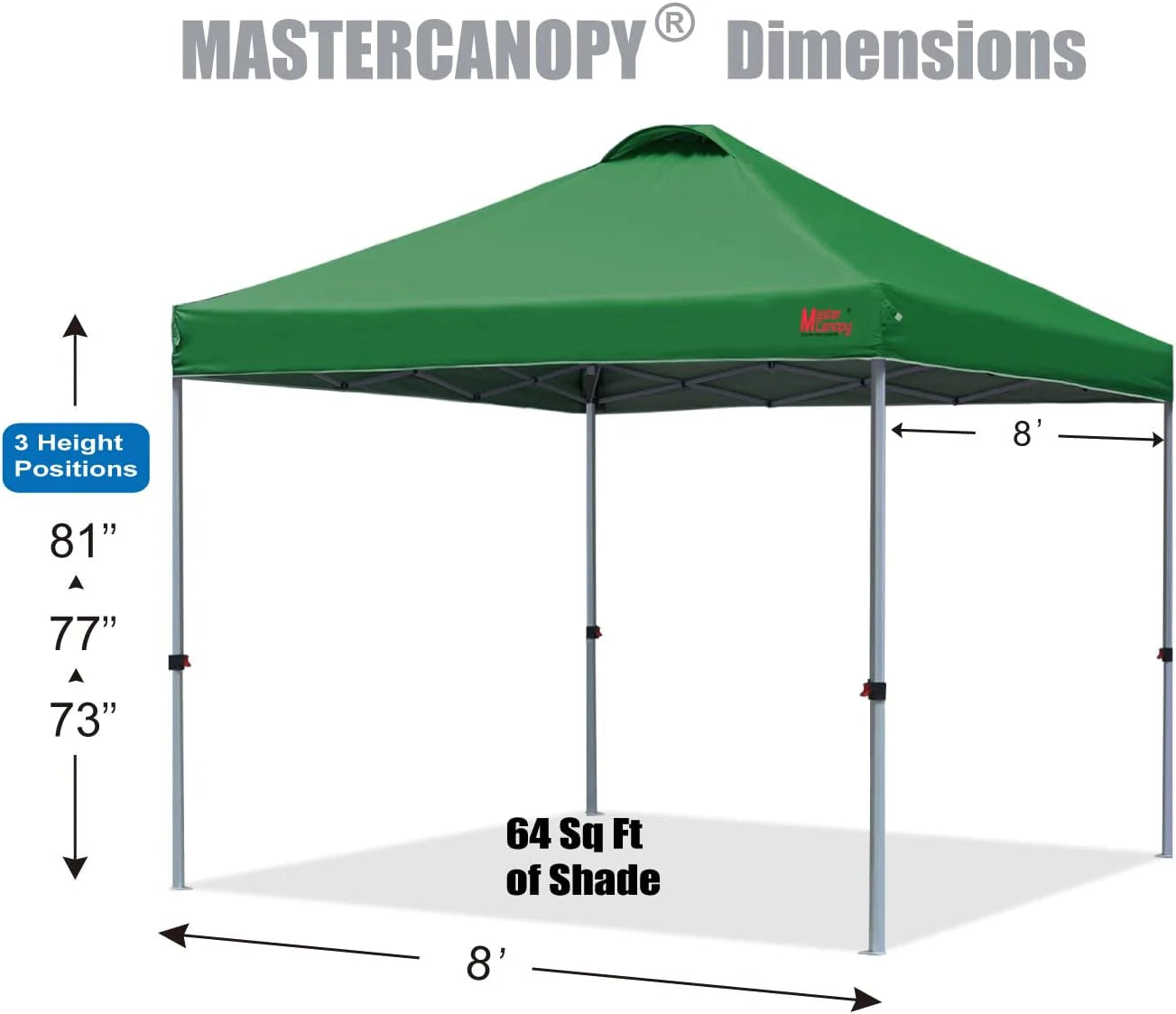 Durable Pop-up Canopy Tent with Roller Bag (10x10, Black)