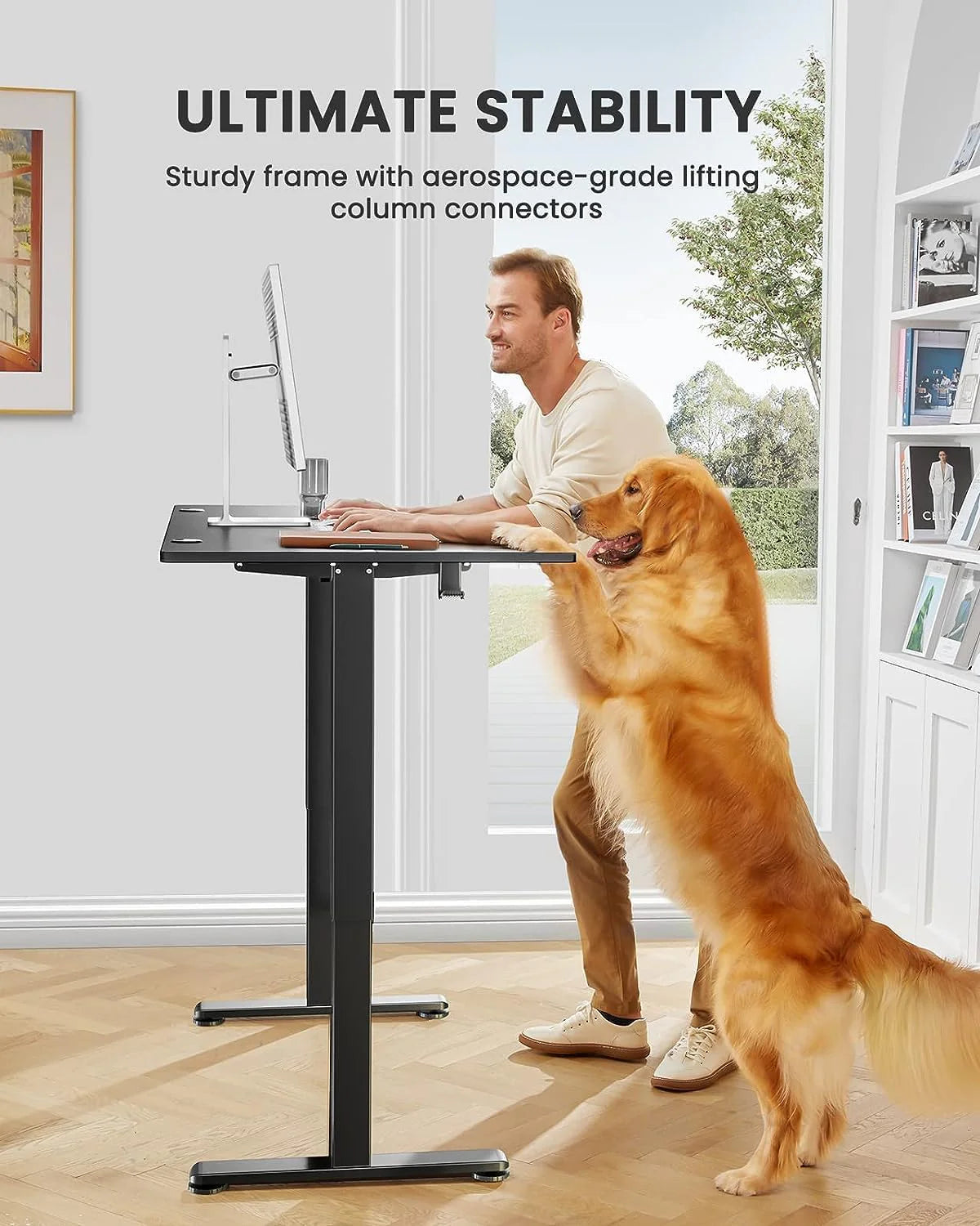 Height Adjustable Electric Standing Desk 47.2 x 23.6 Inches