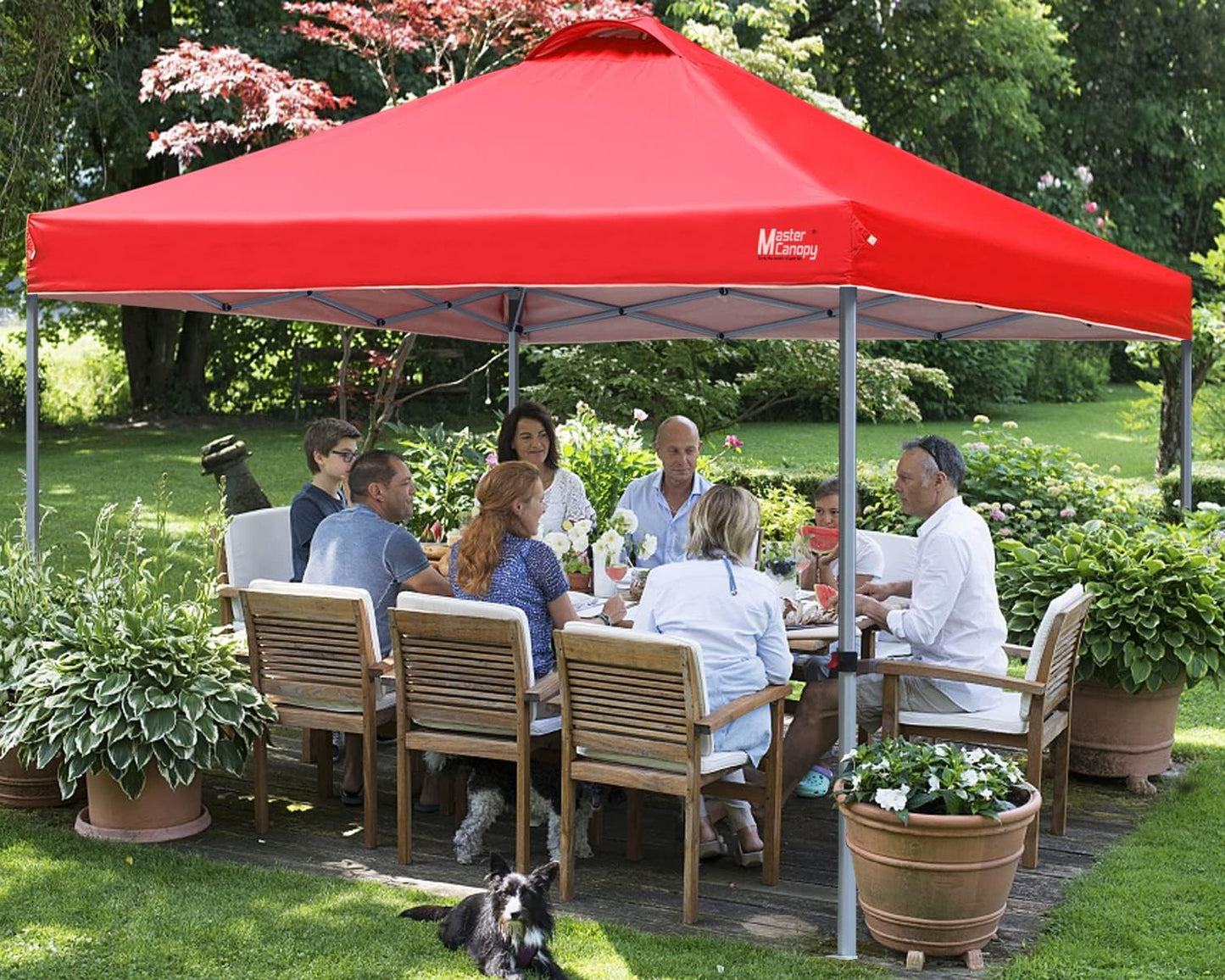 Durable Pop-up Canopy Tent with Roller Bag (10x10, Black)