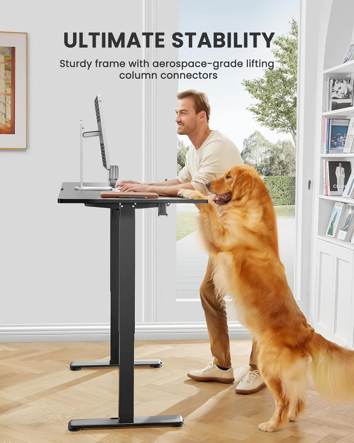 Height Adjustable Electric Standing Desk 47.2 x 23.6 Inches