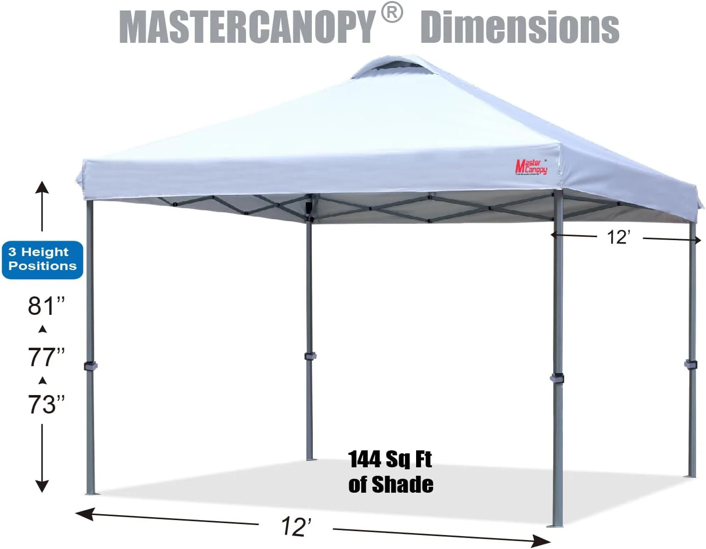 Durable Pop-up Canopy Tent with Roller Bag (10x10, Black)