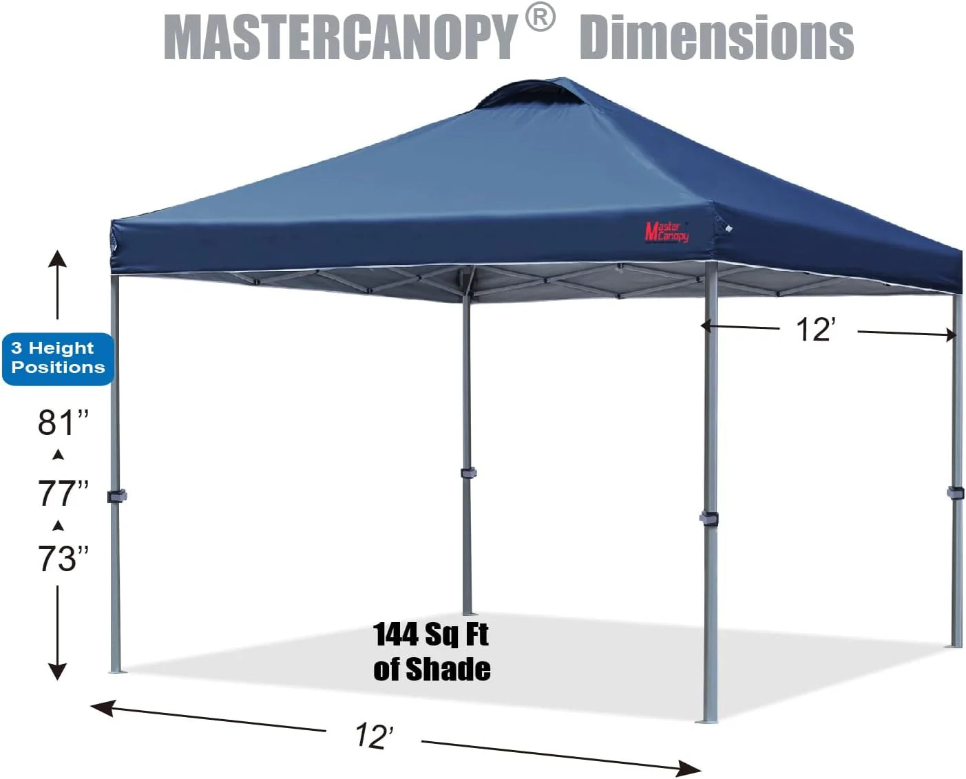 Durable Pop-up Canopy Tent with Roller Bag (10x10, Black)
