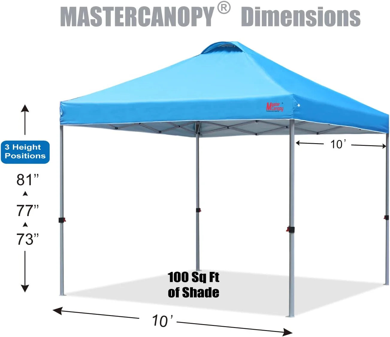 Durable Pop-up Canopy Tent with Roller Bag (10x10, Black)