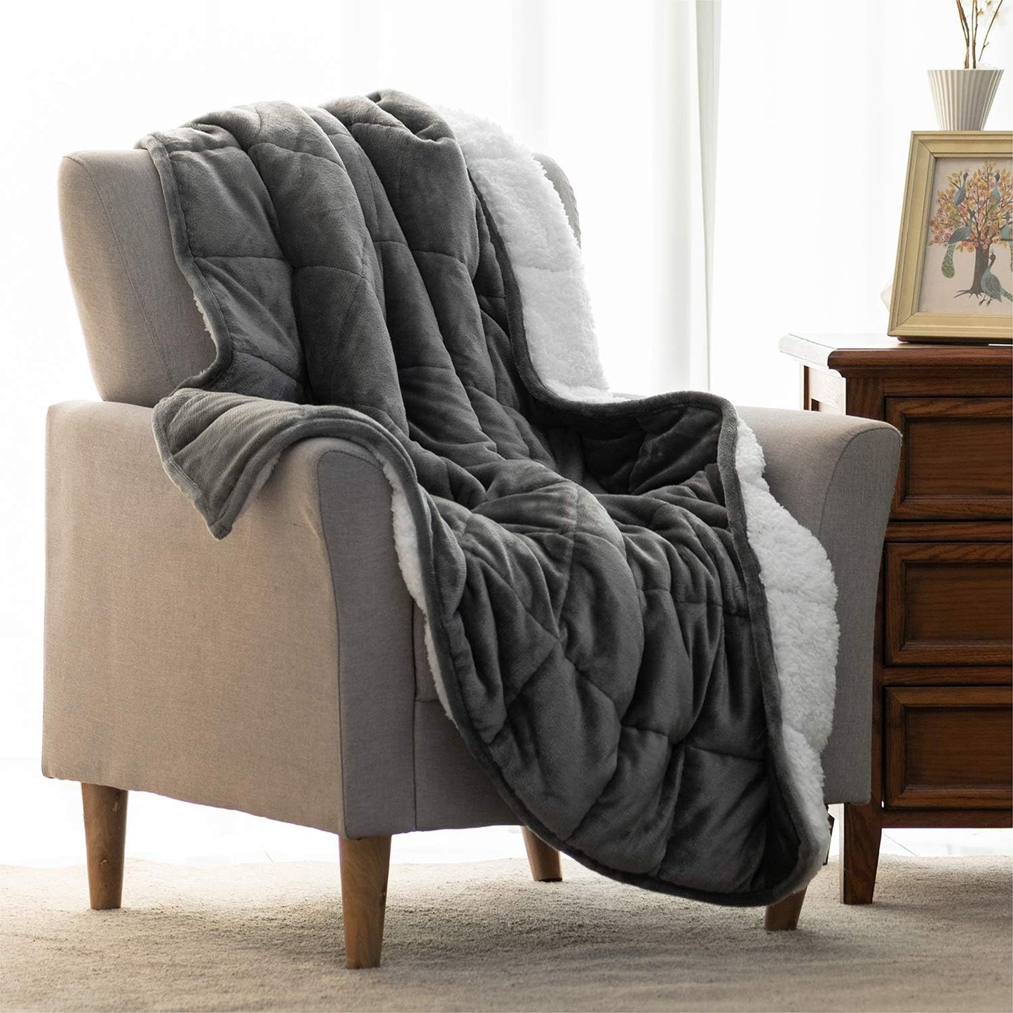 Weighted Blanket Queen Size 15lbs 60x80 inches with Soft Plush Fleece