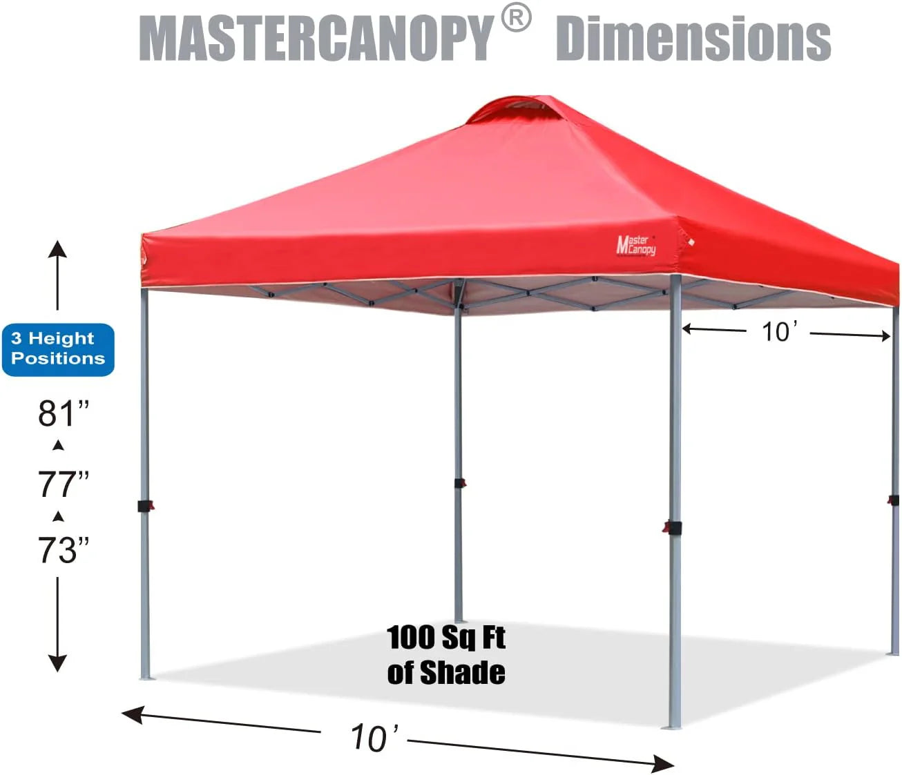 Durable Pop-up Canopy Tent with Roller Bag (10x10, Black)