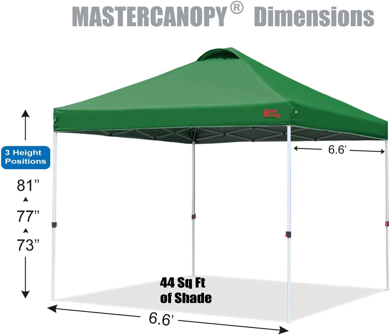Durable Pop-up Canopy Tent with Roller Bag (10x10, Black)