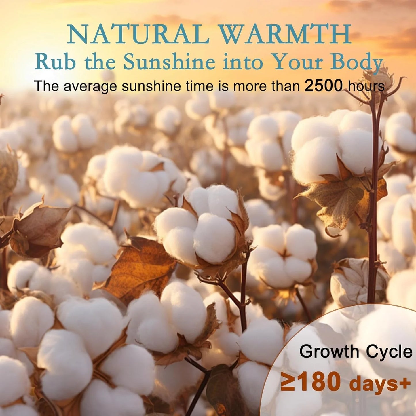 Breathable Thin Comforter Duvet Insert