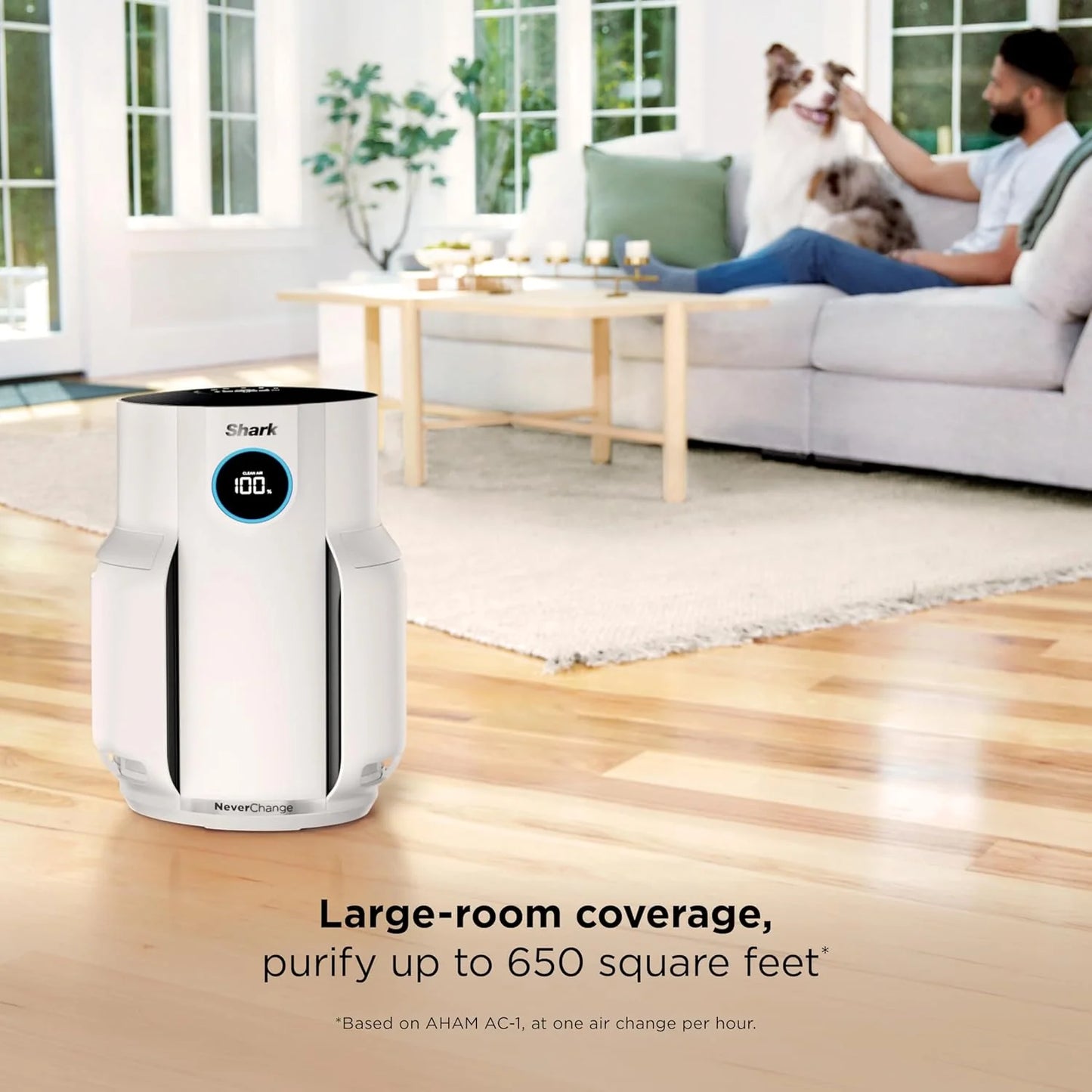 Air Purifier Compact Pro with Long-lasting HEPA Exceeding Filtration, For Pet Dander, Dust, Smoke, Allergens, Up to 250 sq. ft.