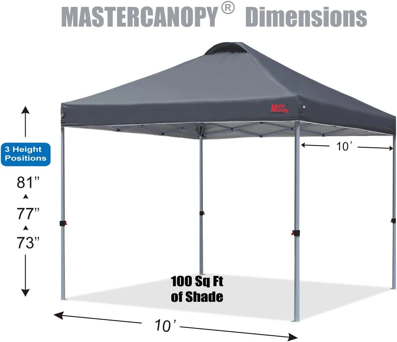 Durable Pop-up Canopy Tent with Roller Bag (10x10, Black)
