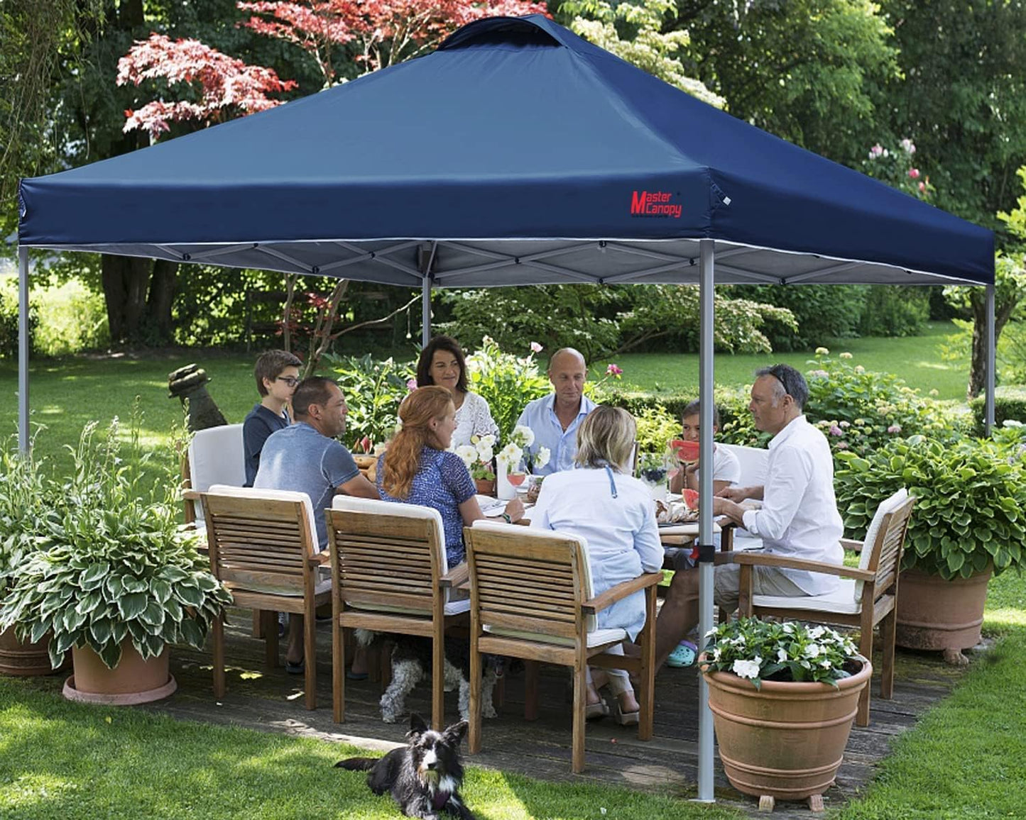 Durable Pop-up Canopy Tent with Roller Bag (10x10, Black)