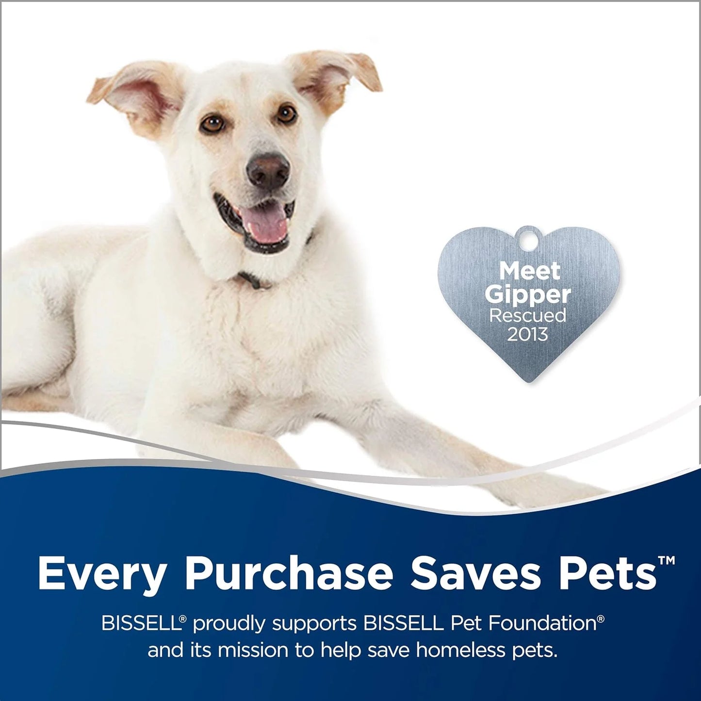 Steam Mop, Steamer, Tile, Hard Wood Floor Cleaner, 1806, Sapphire Powerfresh Deluxe