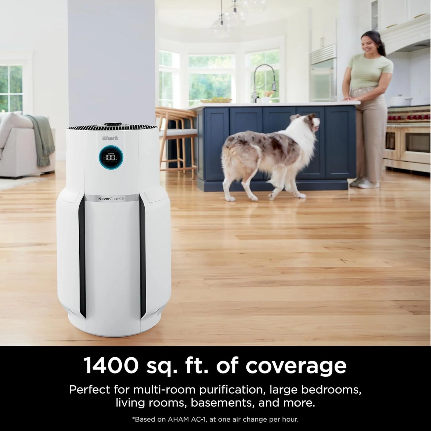 Air Purifier Compact Pro with Long-lasting HEPA Exceeding Filtration, For Pet Dander, Dust, Smoke, Allergens, Up to 250 sq. ft.