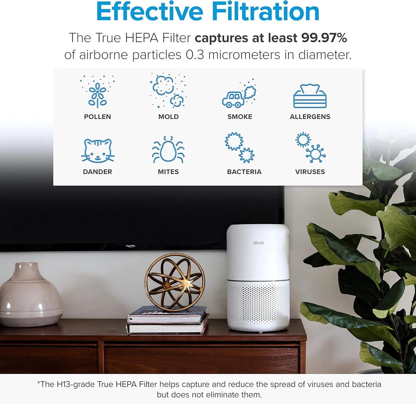Air Purifier for Bedroom Allergies and Pet Hair, 56W High Torque Motor