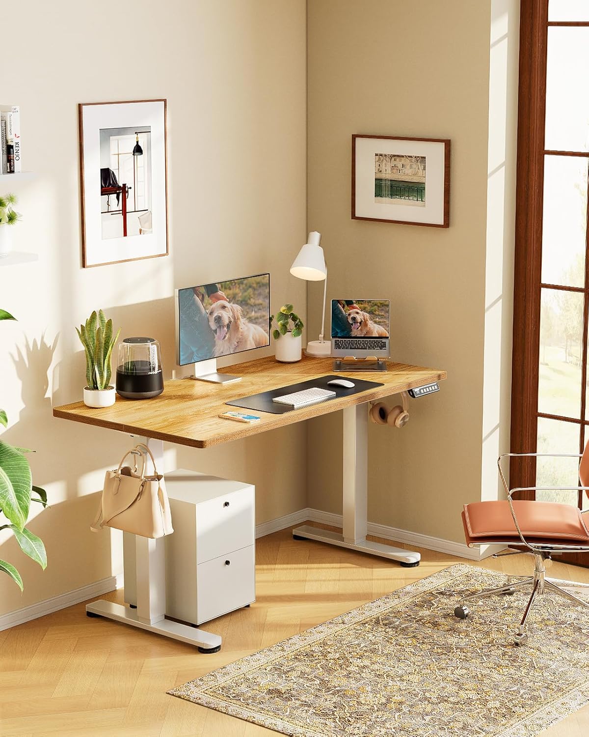 Height Adjustable Electric Standing Desk 47.2 x 23.6 Inches