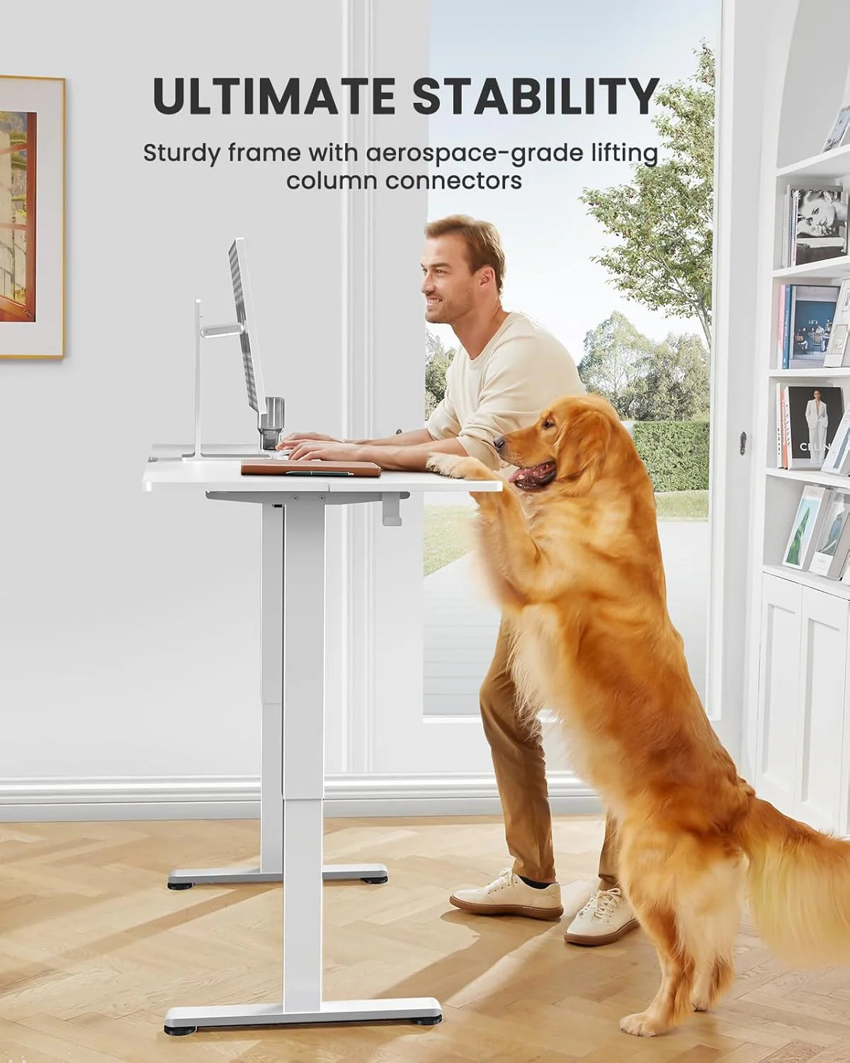 Height Adjustable Electric Standing Desk 47.2 x 23.6 Inches