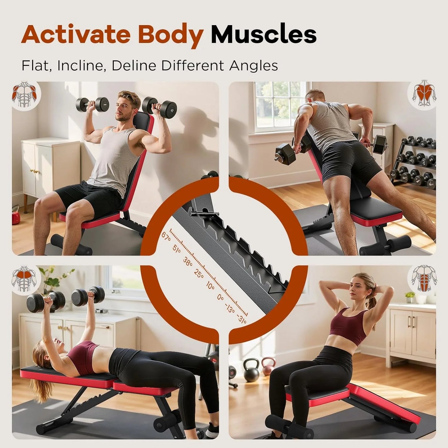 Basic Weight Bench for Home Gym, Foldable Workout Bench with 8 Backrests, 660LBS Weight Capacity Adjustable Bench