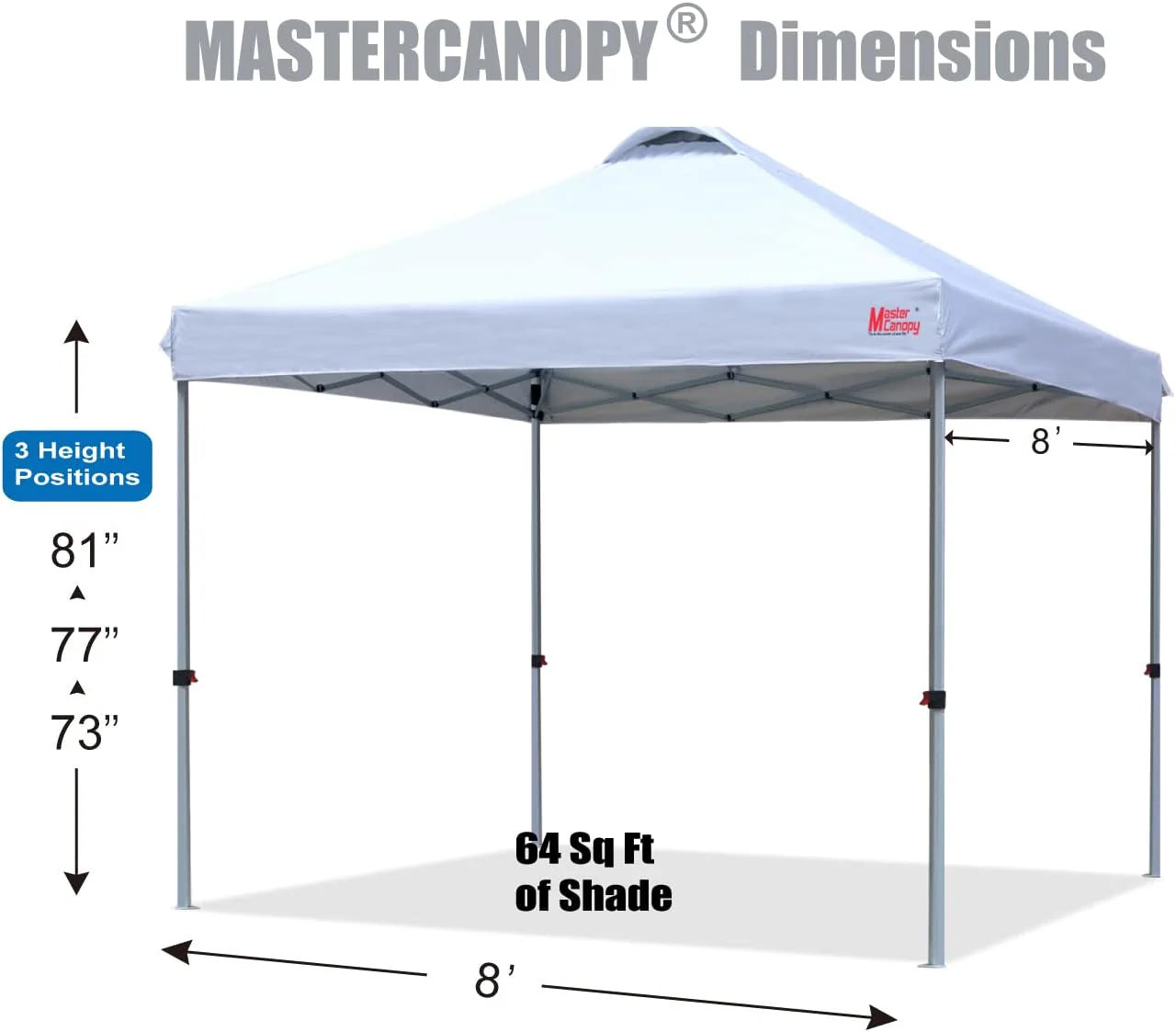 Durable Pop-up Canopy Tent with Roller Bag (10x10, Black)