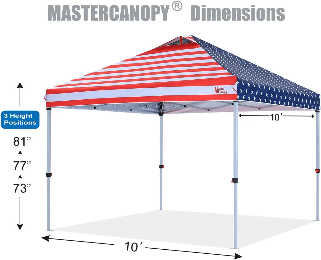 Durable Pop-up Canopy Tent with Roller Bag (10x10, Black)