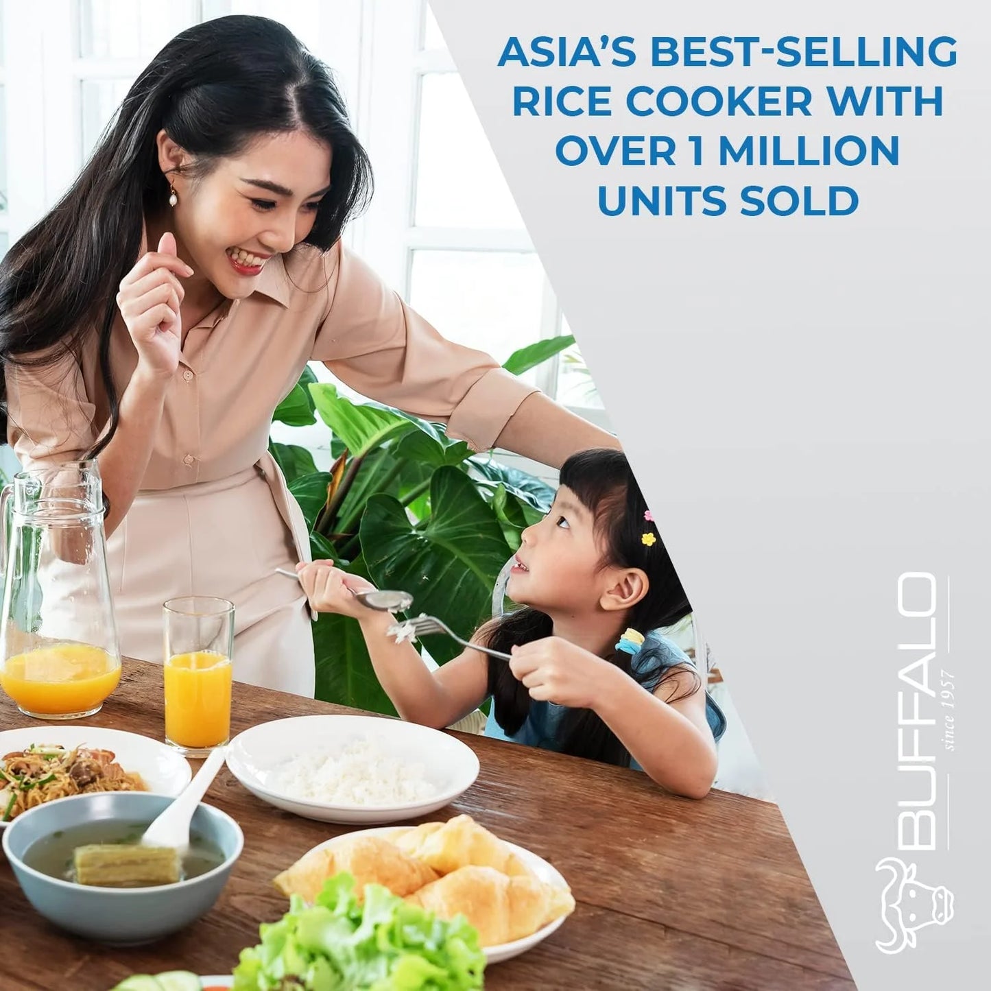 Buffalo Classic Rice Cooker with Composite Stainless Steel Inner Pot - Rice Cookers