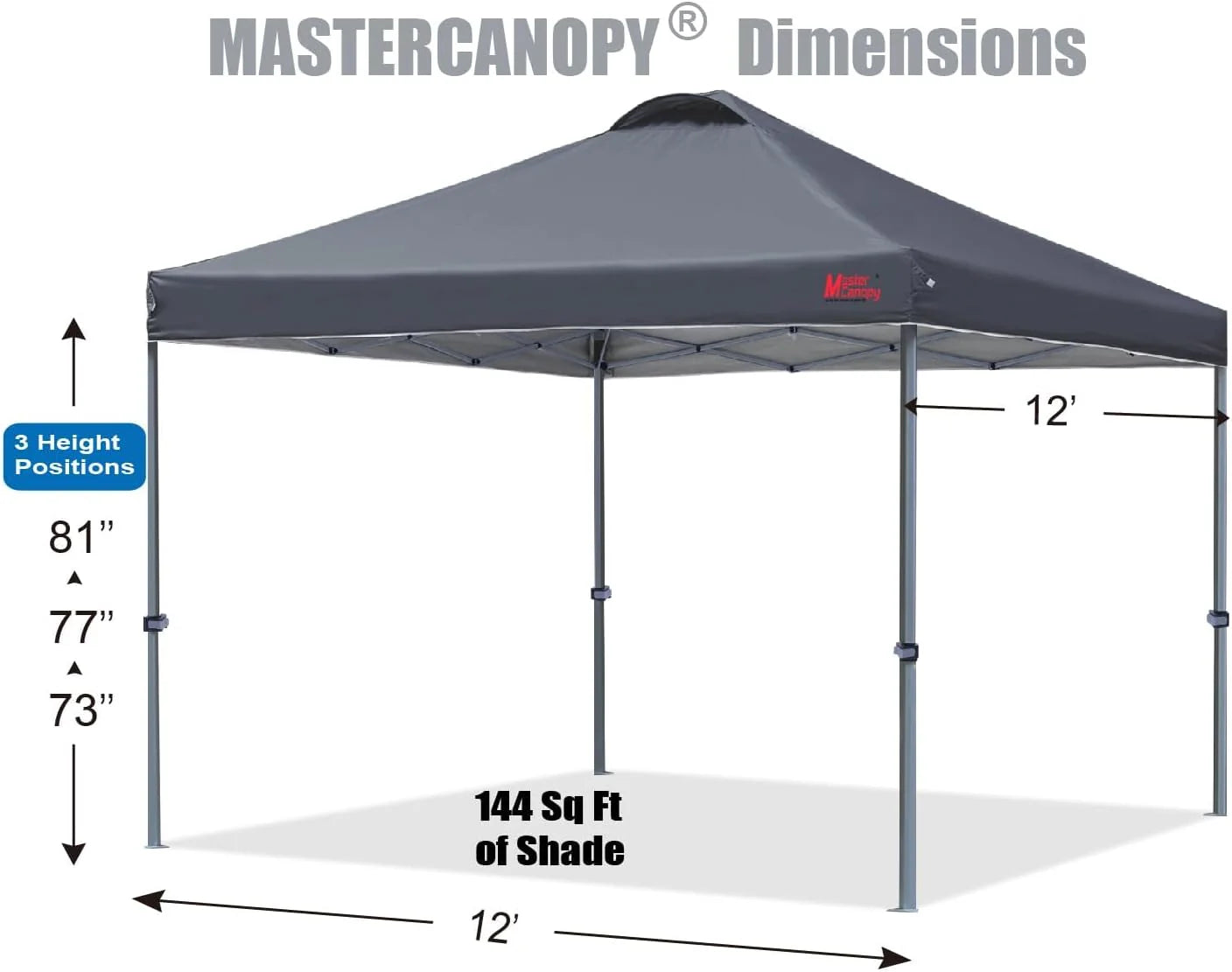 Durable Pop-up Canopy Tent with Roller Bag (10x10, Black)