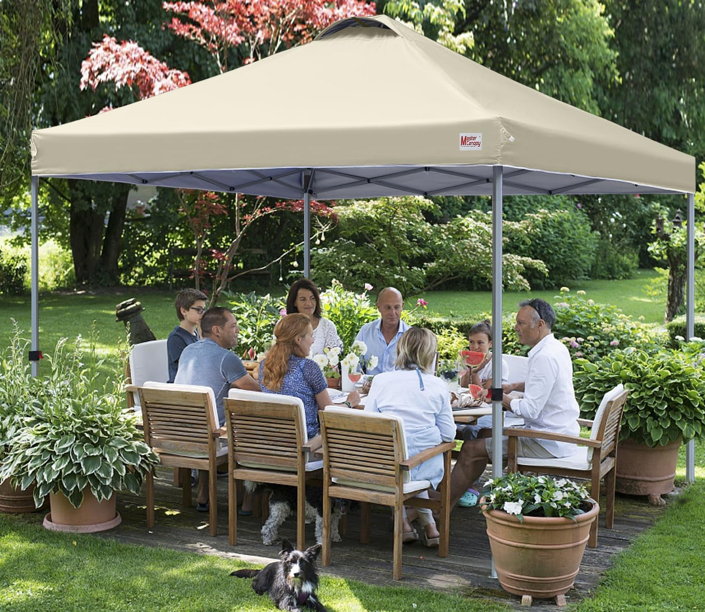 Durable Pop-up Canopy Tent with Roller Bag (10x10, Black)